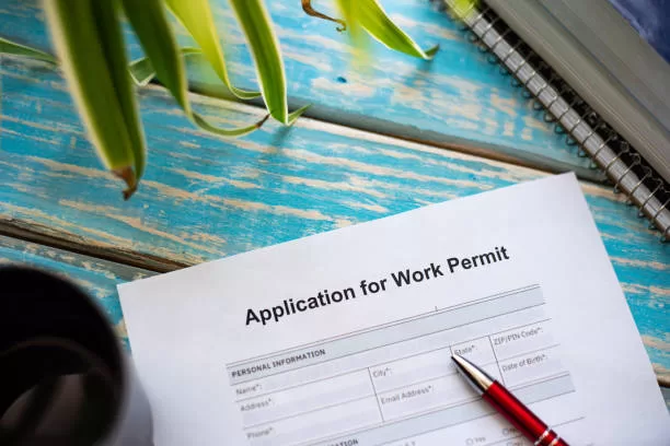 Work Visa